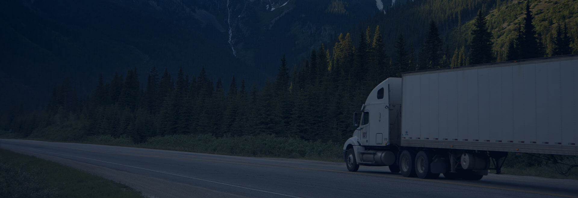 Online Cargo Tracking System